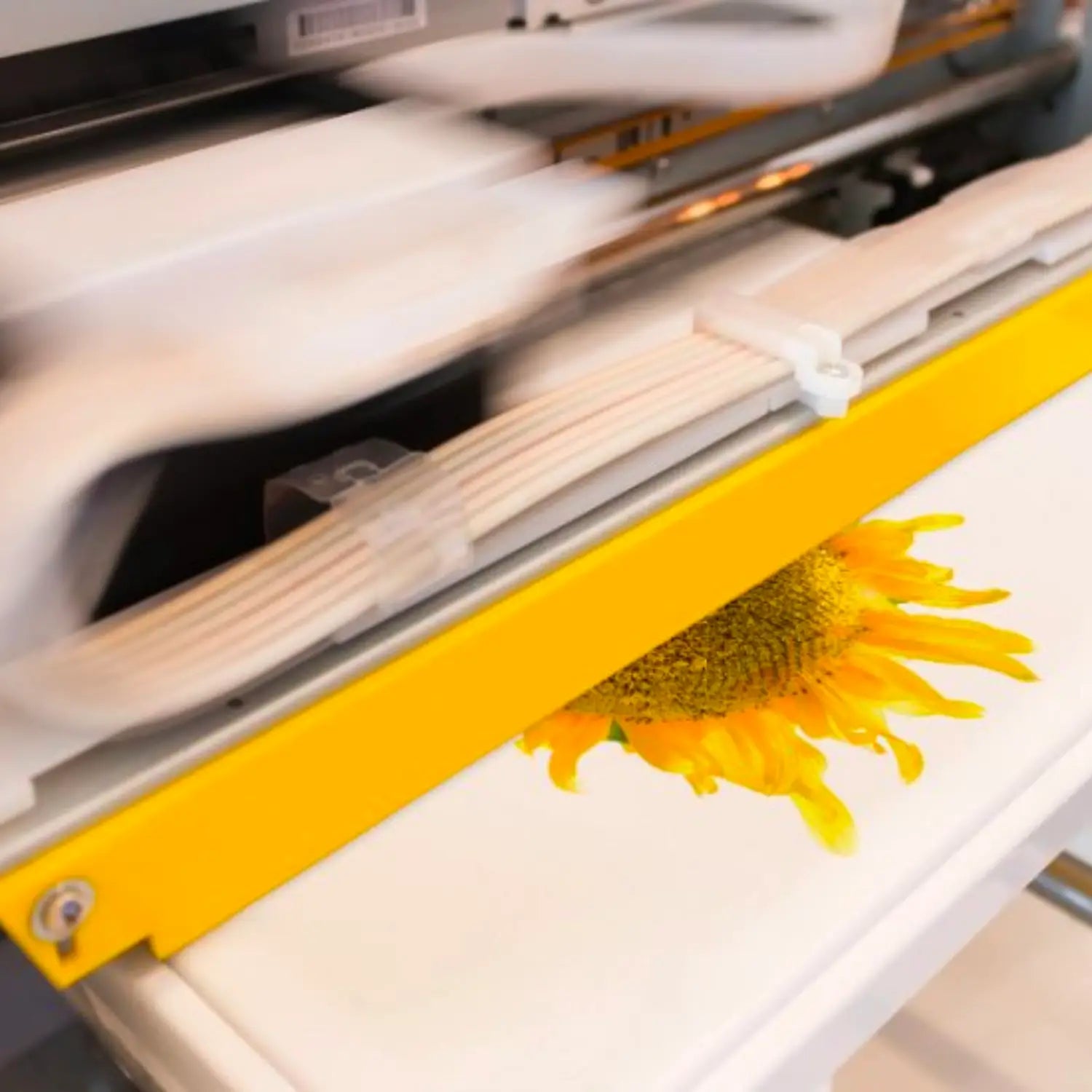 Direct to Garment vs. Vinyl Printing: Why DTG Takes the Crown for T-Shirts