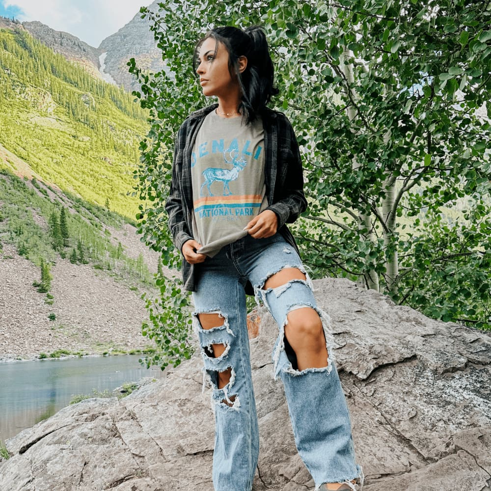 Denali National Park Tee - Mommy Apparel