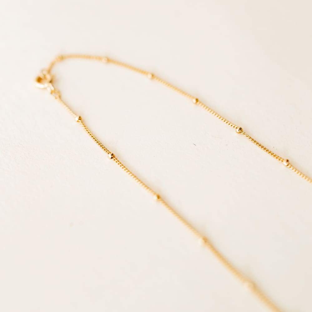 Dreamer Chain