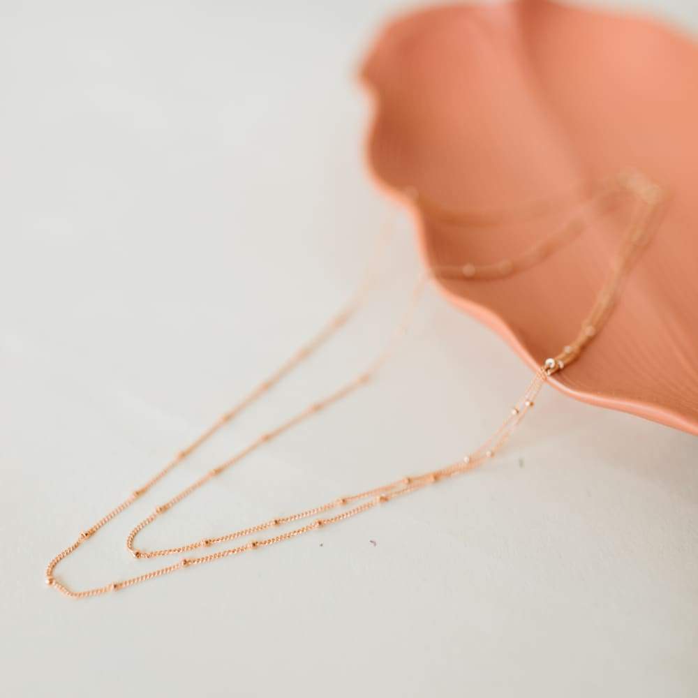 Dreamer Chain